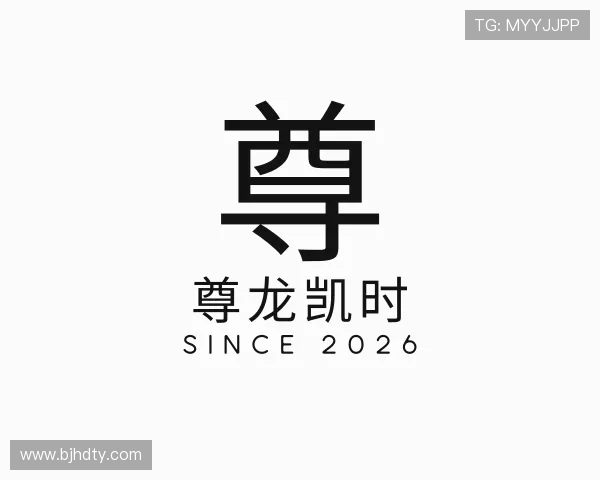 介绍尊龙凯时